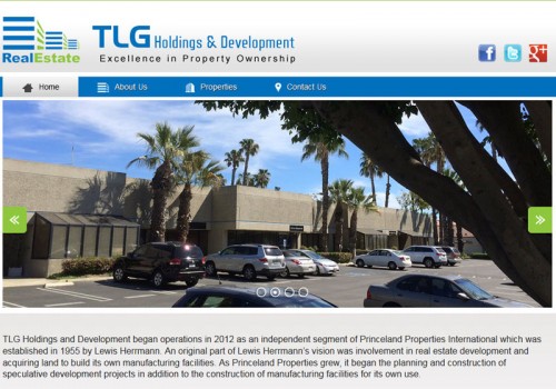 TLG Holdings And Development